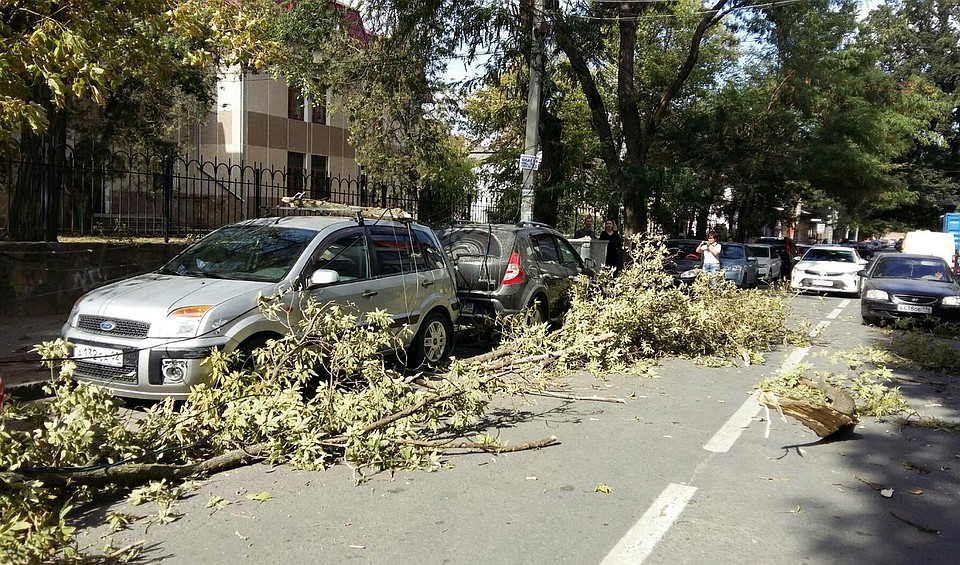 Спасатели советуют не оставлять машины под деревьями. Фото: Анастасия КУРДЮКОВА