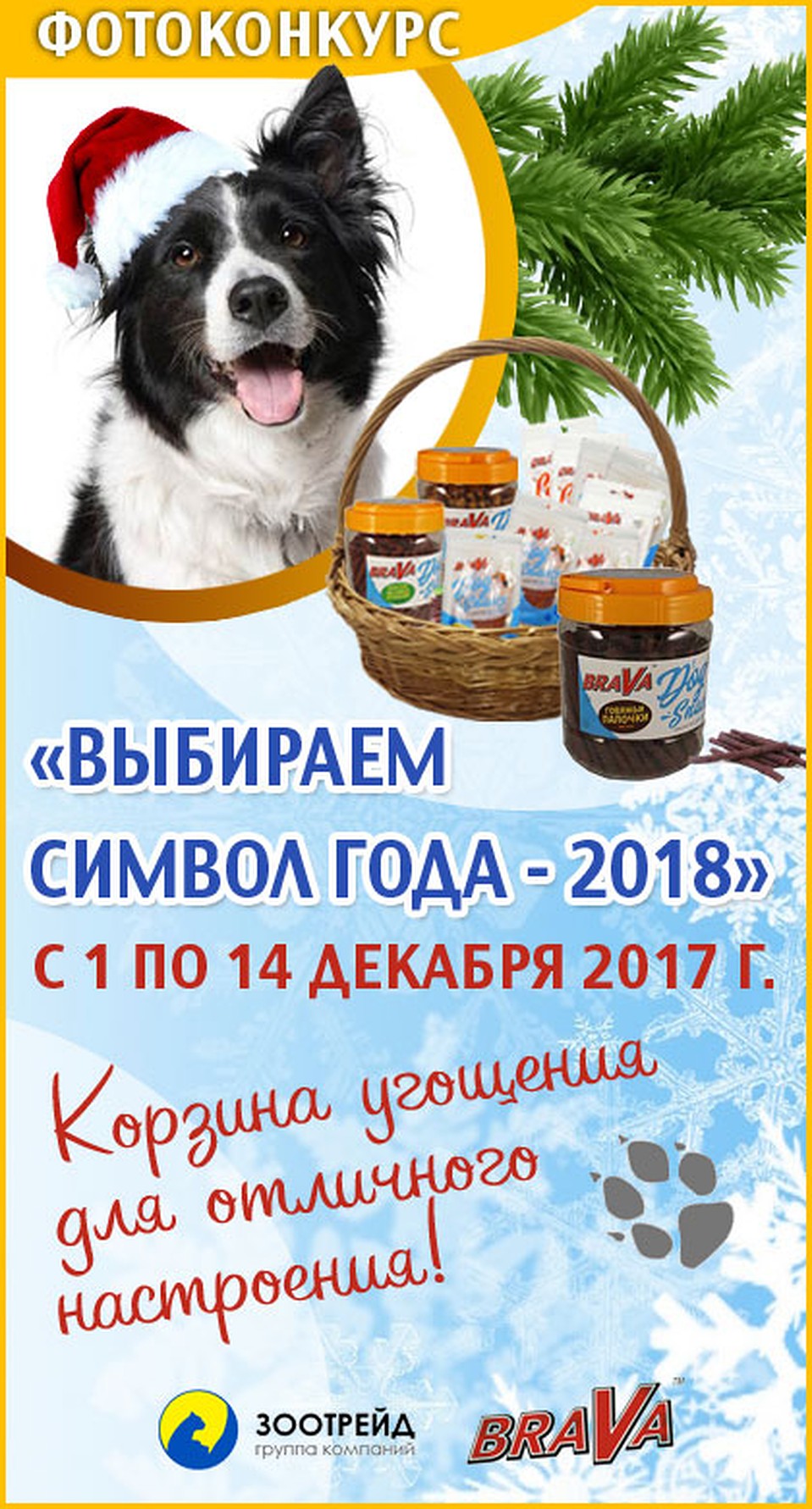 Победитель получит приз от Группы компаний «Зоотрейд»