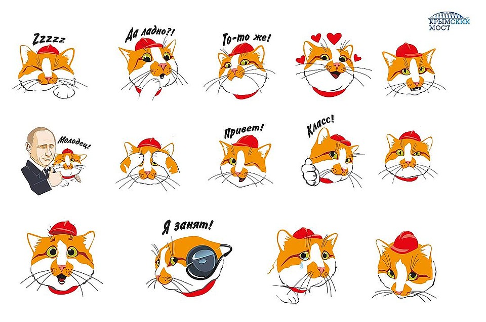 Кот Крымского моста стал героем стикеров для Telegram. Фото: Инфоцентр Крымский мост