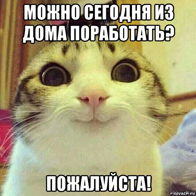 Фото: соцсети.