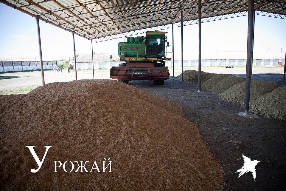 Фото: администрация области.