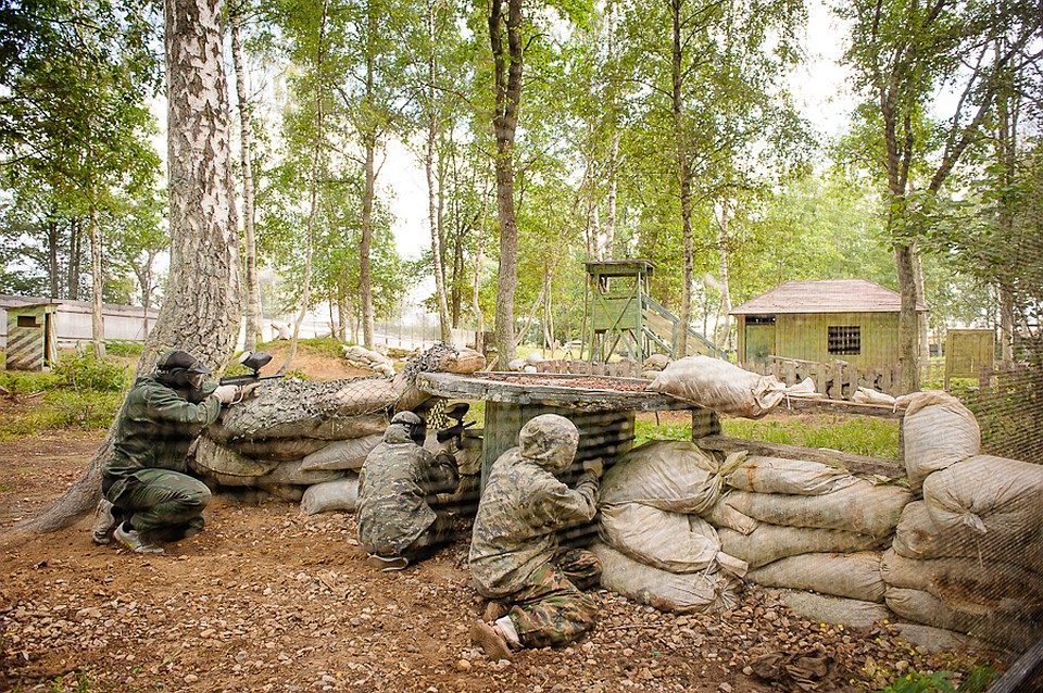 Архив Foresta