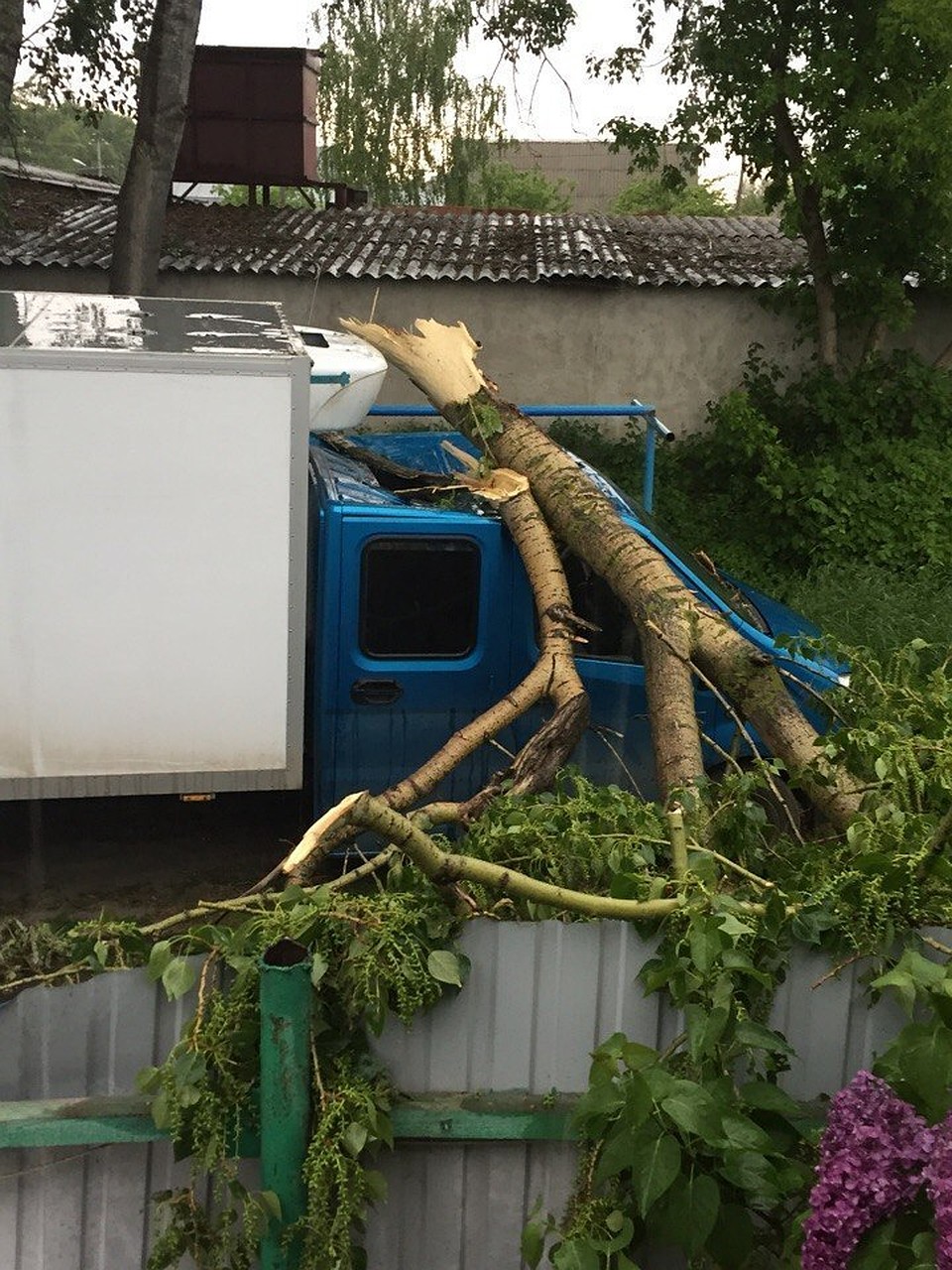 Фото: соцсети.