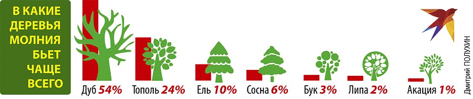 В какие деревья молния бьет чаще всего Фото: Дмитрий ПОЛУХИН