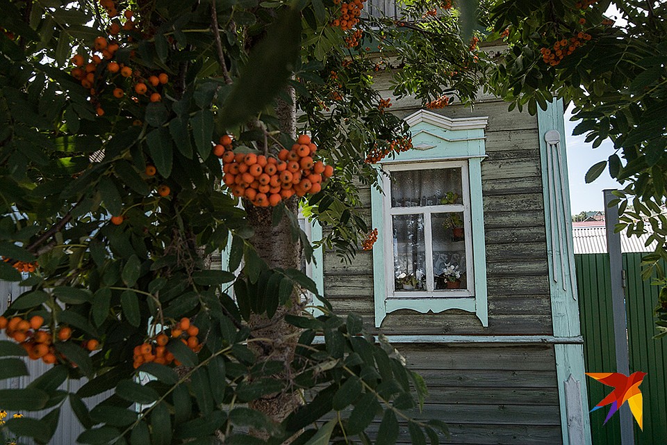 Тихая провинция Фото: Виктор ГУСЕЙНОВ