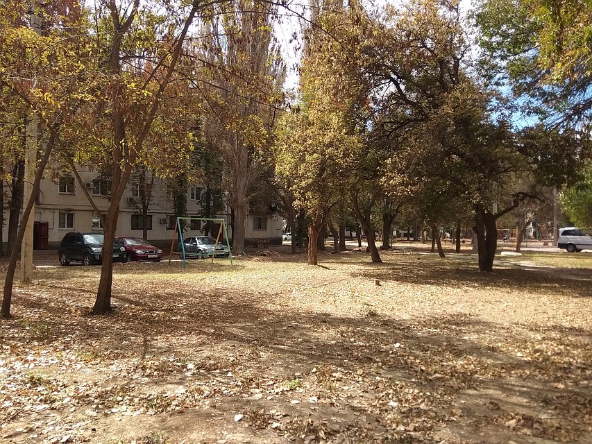 Такое ощущение, что в городе - глубокая осень Фото: Анастасия ЖУКОВА