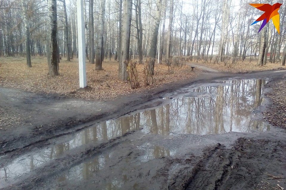 Один из участков парка... Фото: Владимир ФРОЛОВ