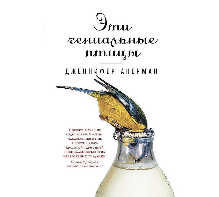 «Эти гениальные птицы»