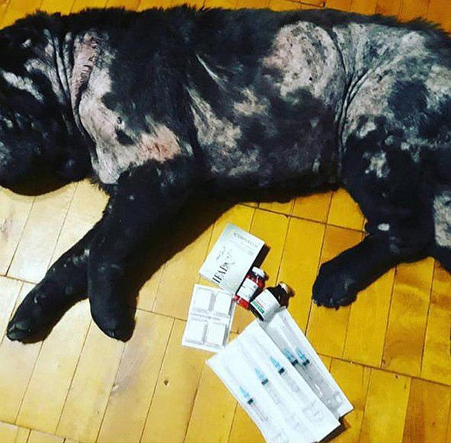 На фото видно: Дункан по-прежнему раздирает себя до мяса, глаза не прооперированы. И смысл был забирать старика из родного дома?