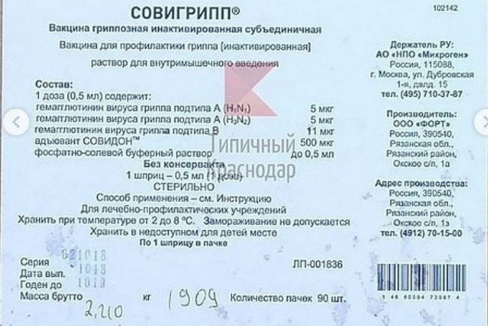 Фото: Типичный Краснодар