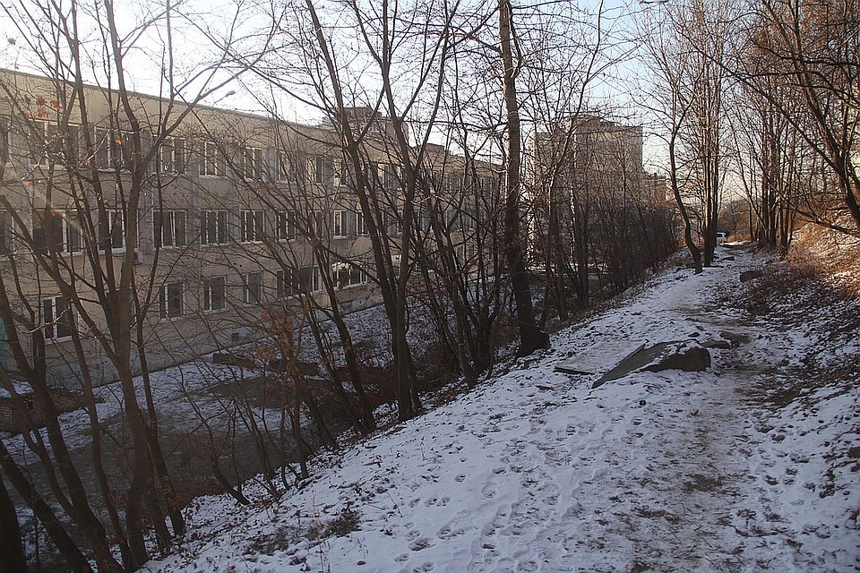 Тропинка к дому по адресу Адмирала Кузнецова, 90 Фото: Александр ВАСИЛЬЕВ