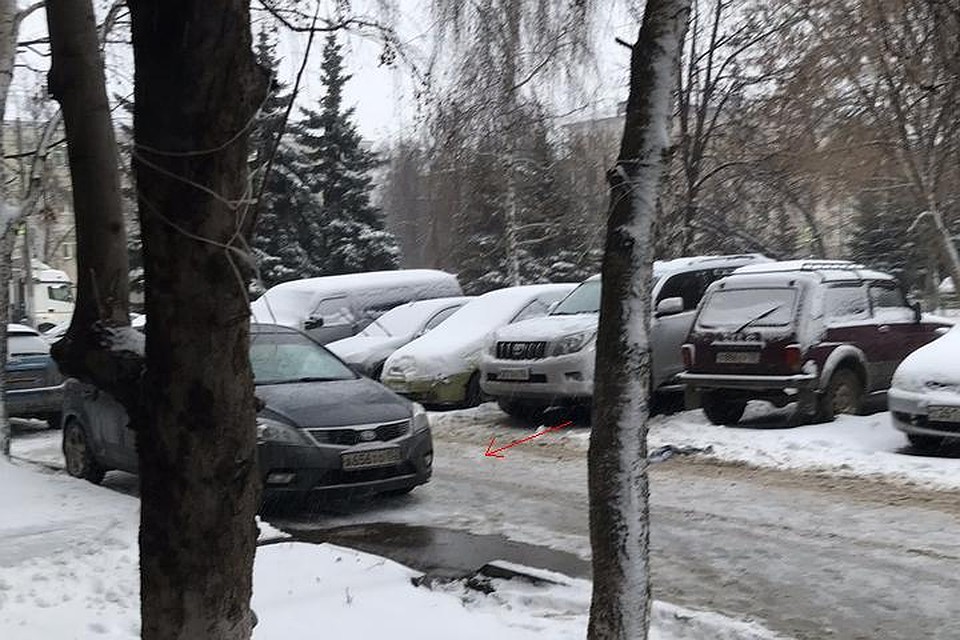 Водитель белой Toyota уверяла, что синяя Kia мешает ей выехать с парковочного места. Фото: СОЦСЕТИ