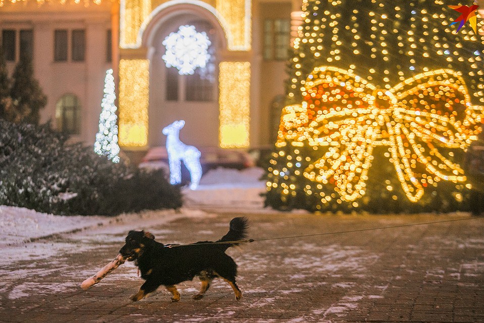Минск готовится к Новому году. Фото: Павел МАРТИНЧИК