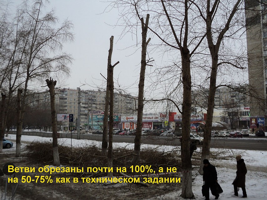Высокие пни – жуткое зрелище. Фото: группа «Гражданский патруль»/vk.com