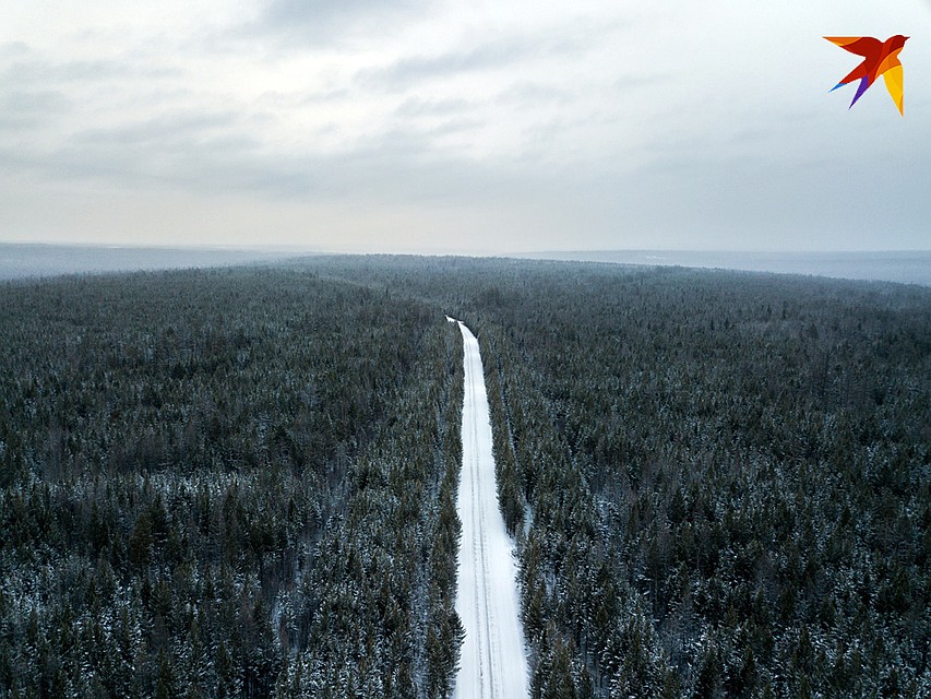 Бескрайняя тайга. Фото: Виктор ГУСЕЙНОВ