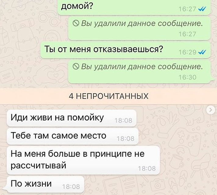 Фрагмент переписки Даны Борисовой с дочкой.