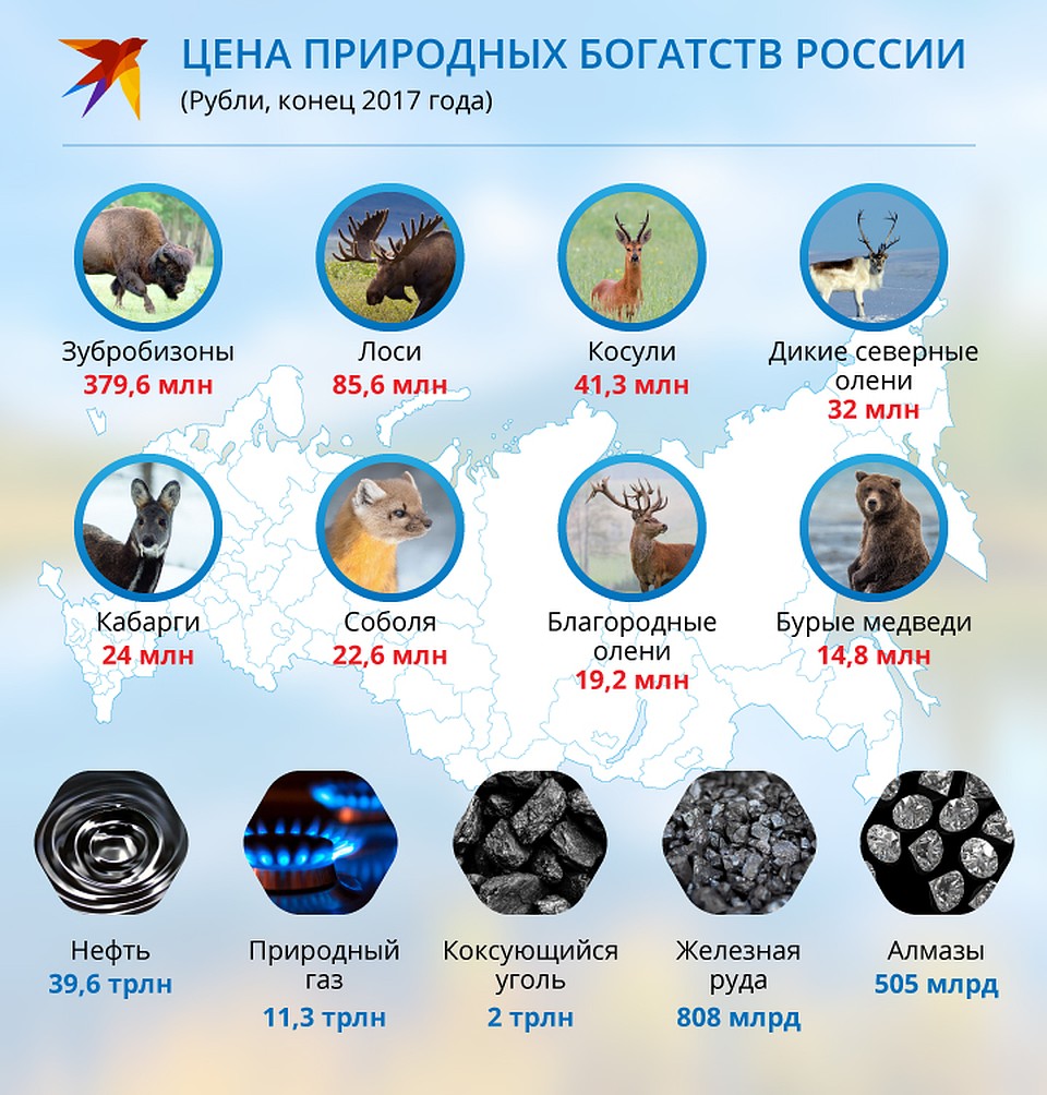 Цены природных богатств Фото: Рушан КАЮМОВ