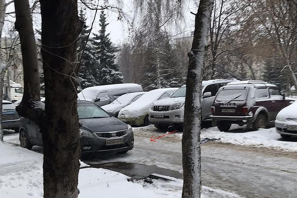 «Я старалась объяснить, что она неправа и не чувствует габариты своей машины» Фото: СОЦСЕТИ