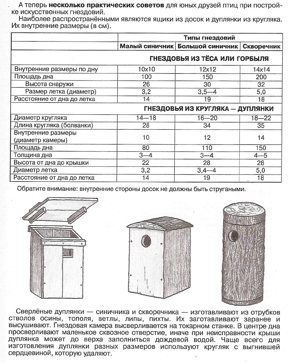 Еще не поздно смастерить жилье для пернатых друзей, возвращающихся на родину с юга