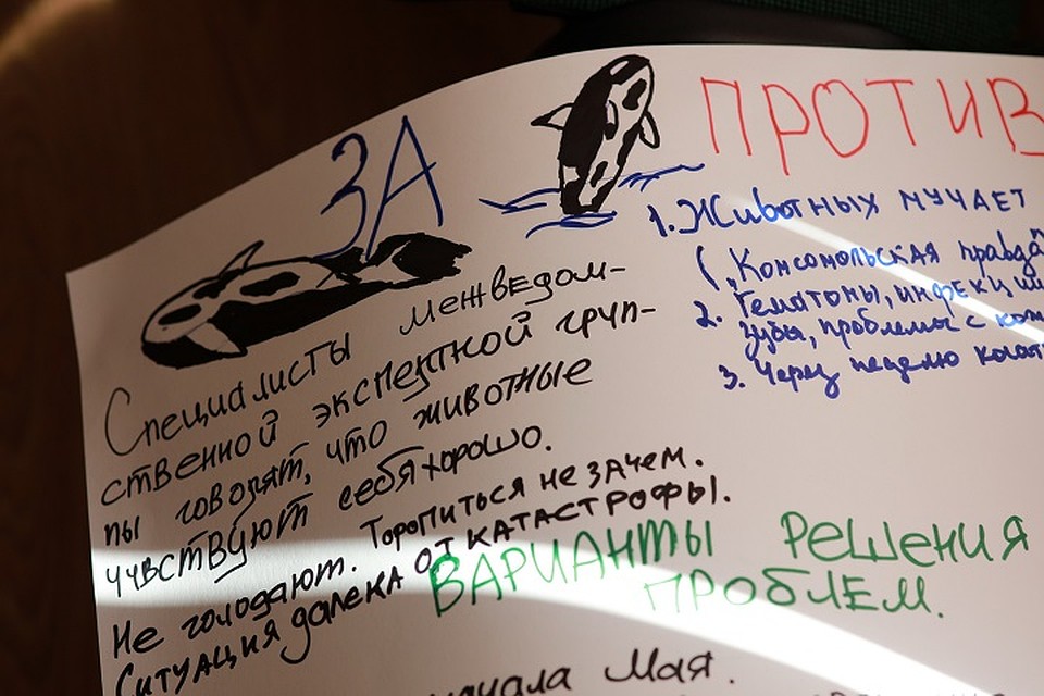 Командам нужно было рассмотреть все "За" и "против" и принять свое собственное решение. Фото: Вадим Попов.