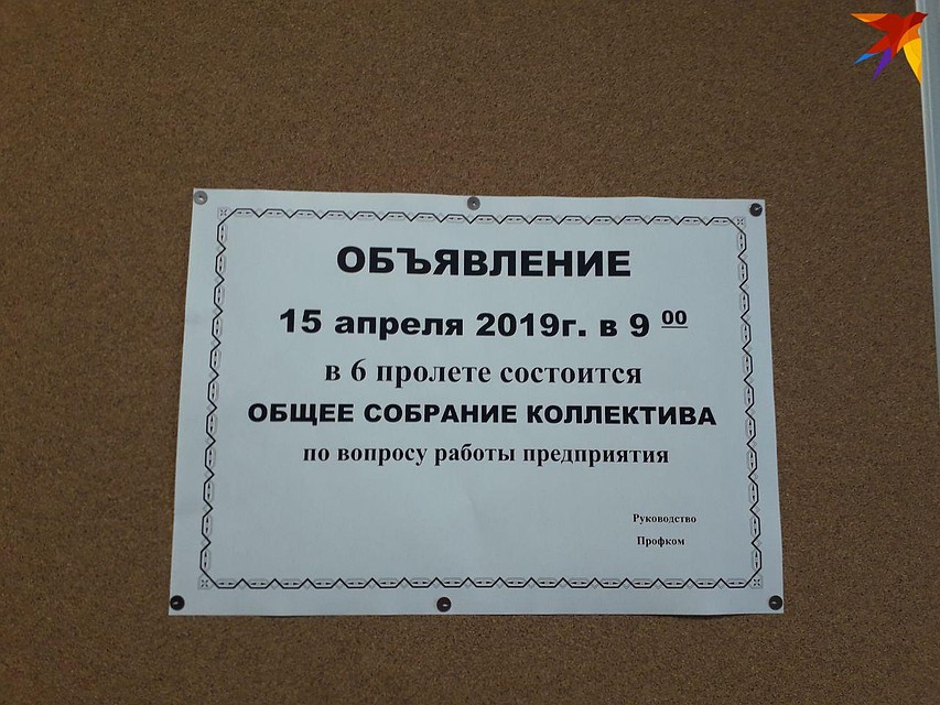 . Фото: Дарья Вострикова