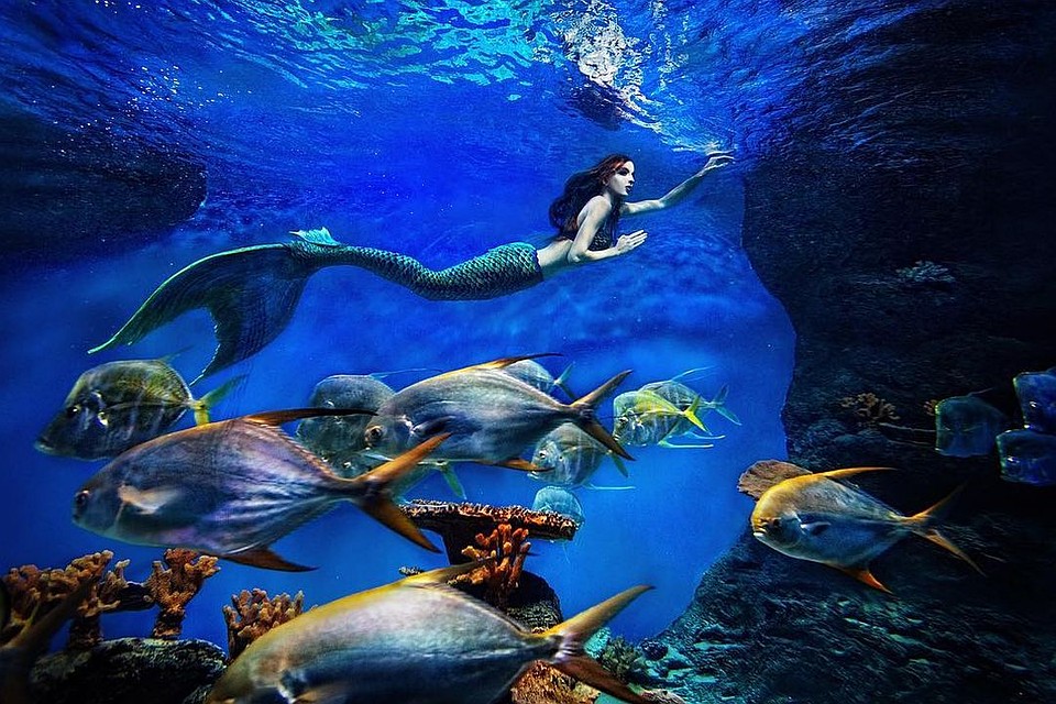 Фотографии похожи на иллюстрации к сказке. Фото: instagram.com/zsamuylova.