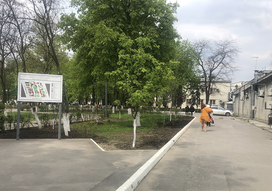 Тема ЦГБ несколько недель была № 1 в донской столице. Фото: Ольга ГОПАЛО