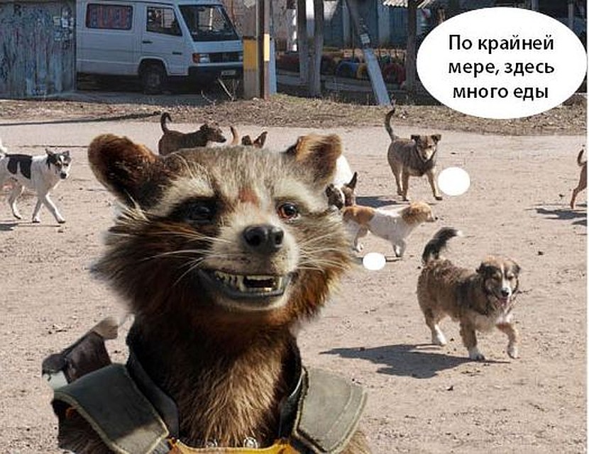 "Мне нравится эта планета!" Фото: Альберт ДЗЕНЬ