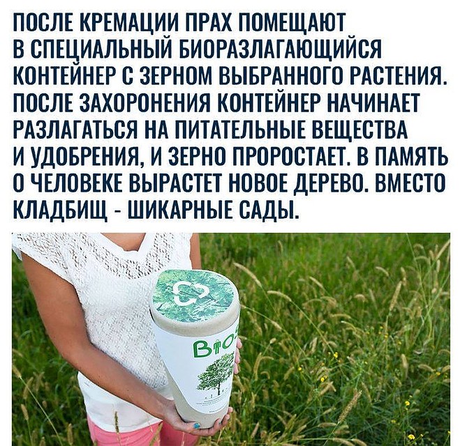 Есть фирмы, предлагающие превратить умершего родственника в дорогой алмаз Фото: Соцсети