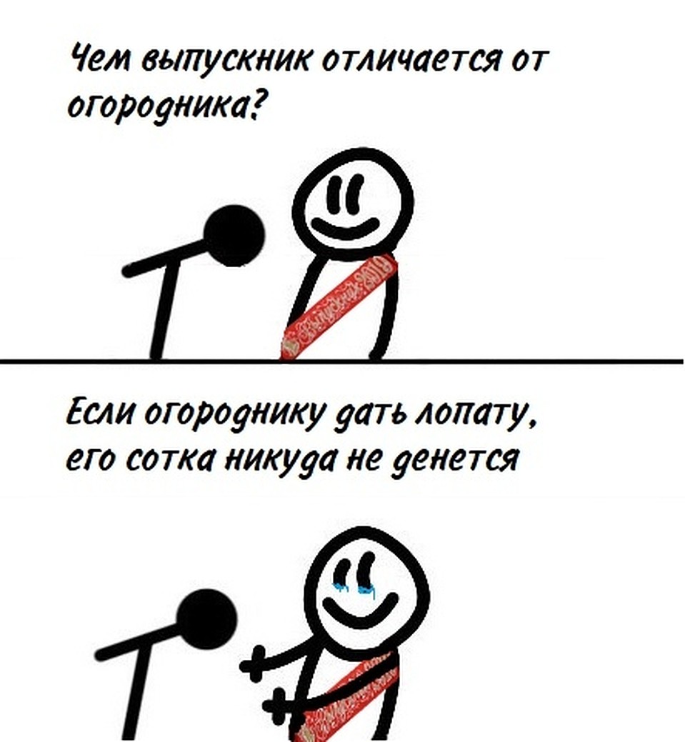 Сто баллов и дачная сотка Фото: соцсети