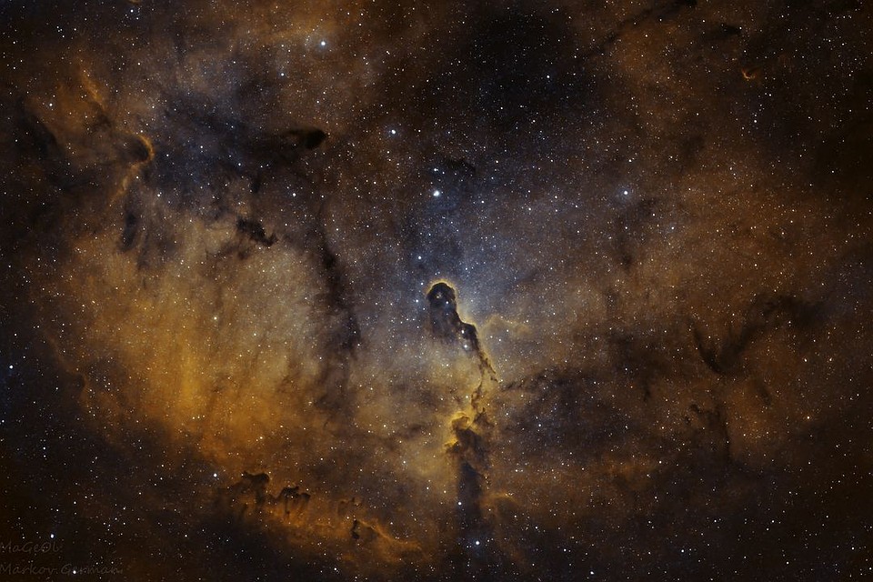Elephant's trunk nebula — туманность Слоновий хобот. Фото: Герман МАРКОВ.