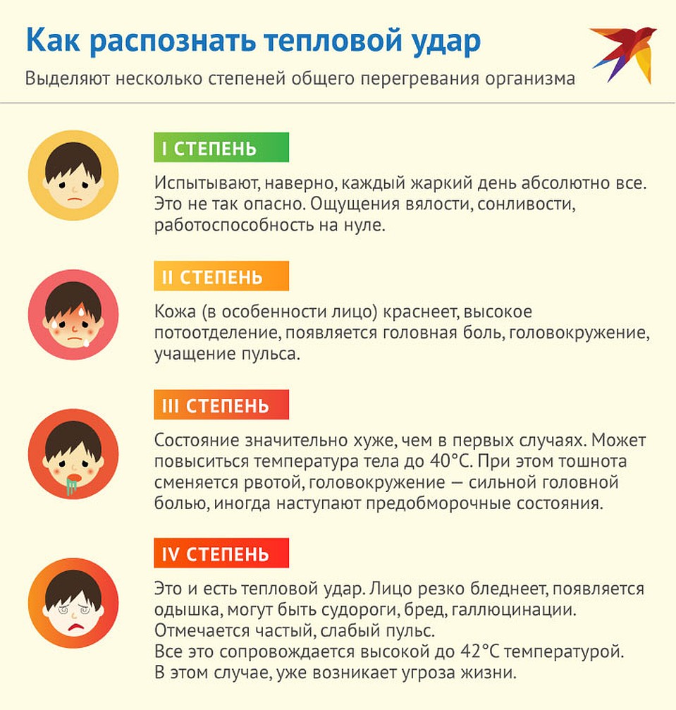 Как распознать! Фото: Рушан КАЮМОВ