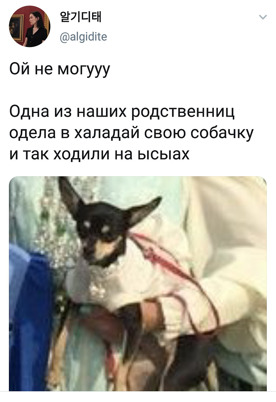 Якутская мода не обошла стороной домашних животных. Фото: Социальные сети