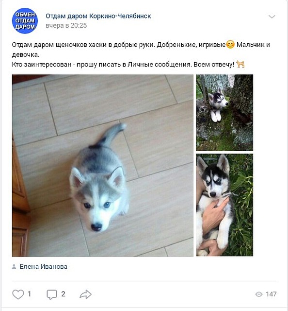 Вот такие посты появились в городских группах.