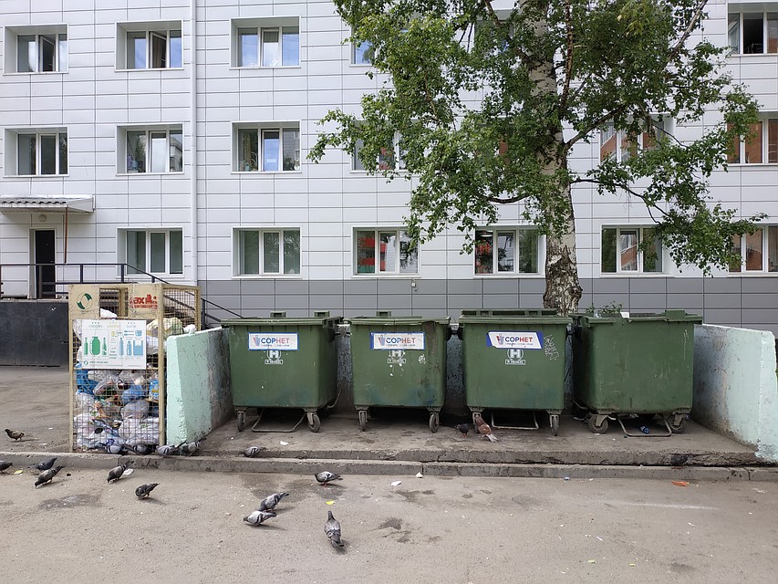 А это евроконтейнеры «Сорнета» Фото: Софья СЕВОСТЬЯНОВА