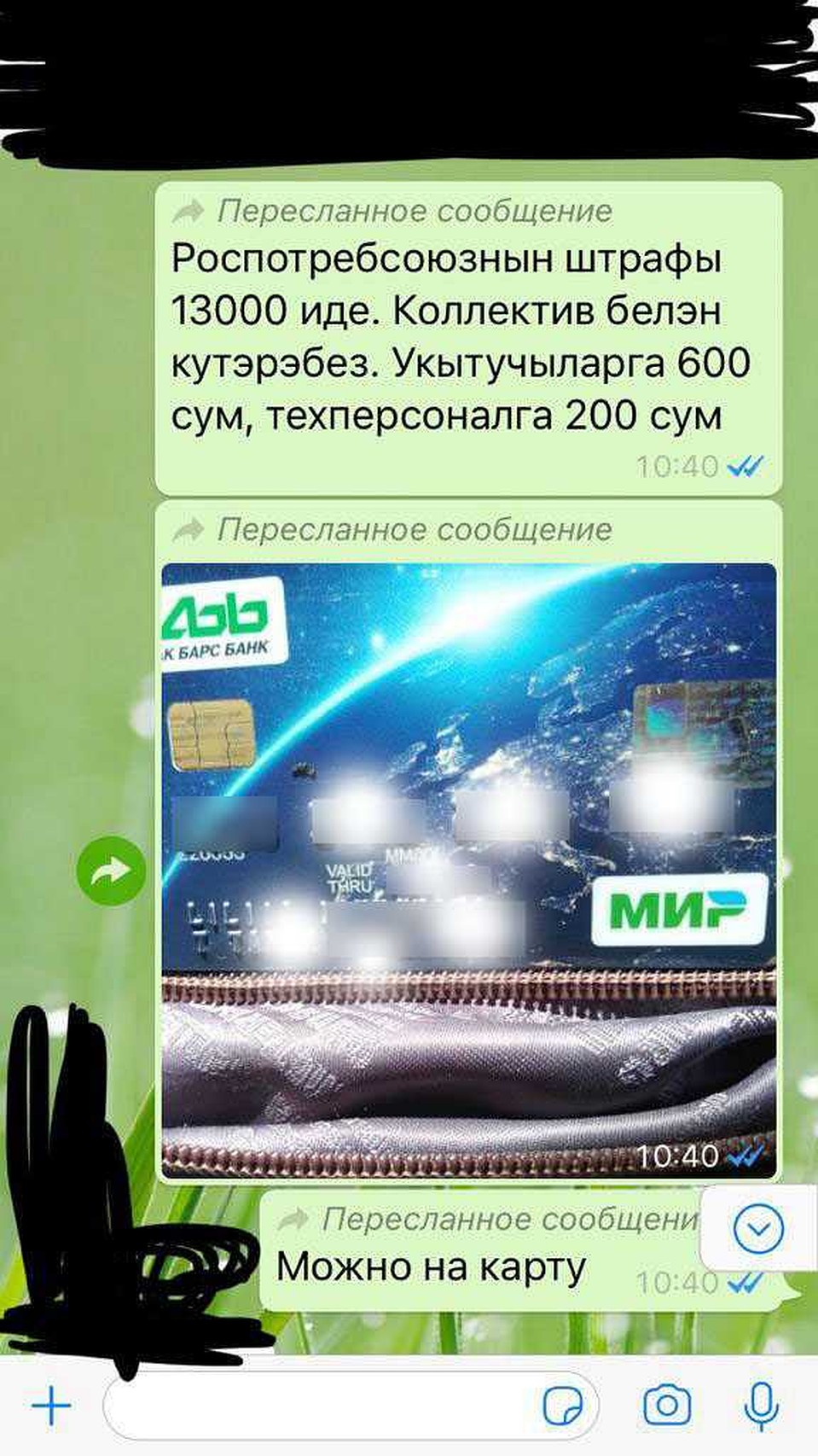 Фото: скриншот