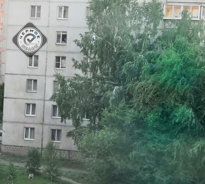Дети играют у открытого окна, пока родители на работе. Фото: vk.com/magnitkacity