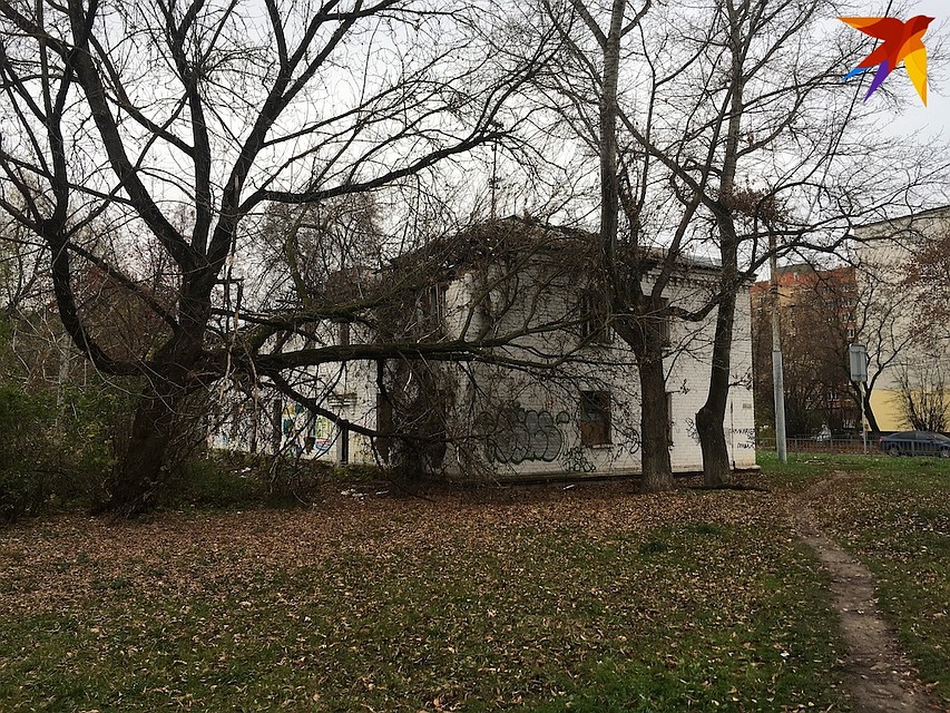 В Орле активисты просят власти снести или огородить расселенные дома на улице Лескова Фото: Валерия ЧЕРНЯВСКАЯ