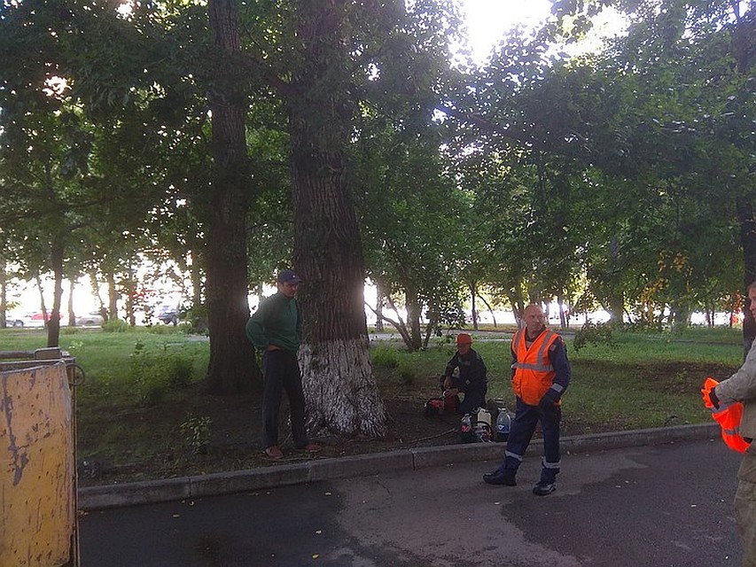 Рабочие рубят деревья в центре Челябинска. Фото: Наталья ГАЛКИНА.