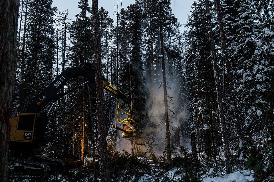 Заготовка леса в Богучанском районе. Зима 2019 Фото: Виктор ГУСЕЙНОВ