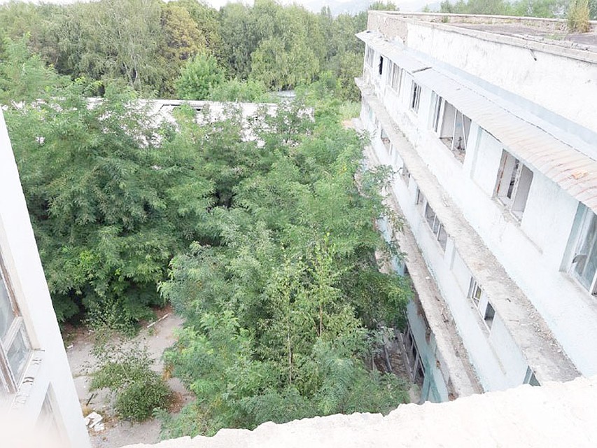 - Фото: Людмила Гамолина