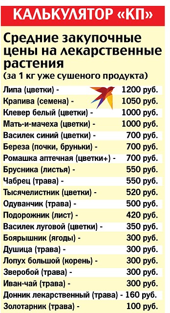 КАЛЬКУЛЯТОР «КП»
