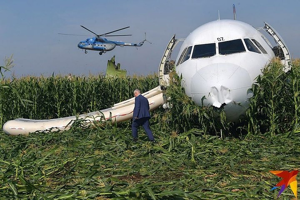 Пилоты смогли посадить судно посреди кукурузного поля с минимальными повреждениями Фото: Владимир ВЕЛЕНГУРИН