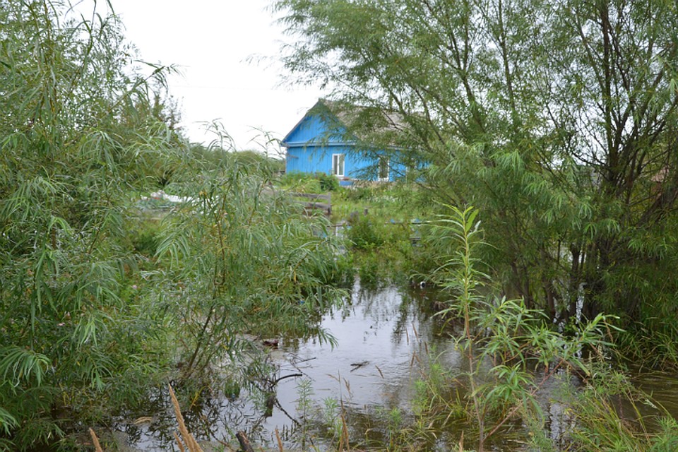 В городе уже подтоплено 13 дач, вода подошла к 3 жилым домам Фото: ГУ МЧС России по Хабаровскому краю