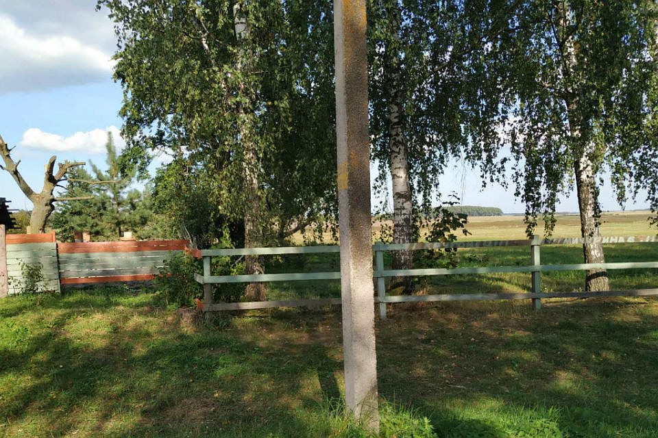 Тело убитой мурманчанки нашли рядом с домом, убийца присыпал его землей. Фото: gomel.mvd.gov.by