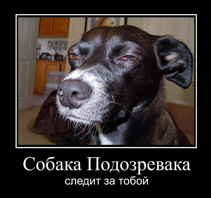 . Фото: СОЦСЕТИ