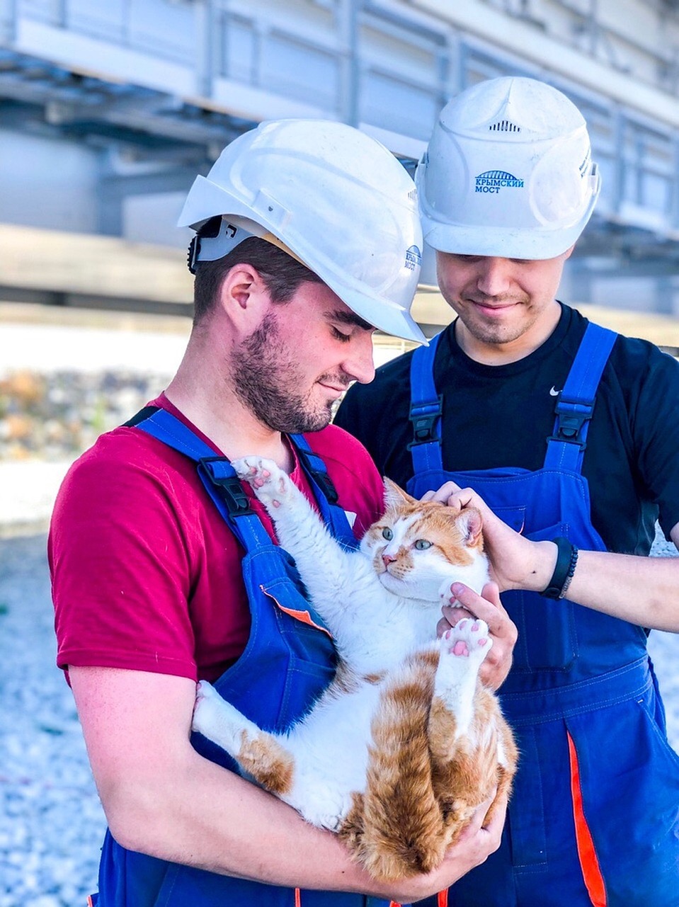 Рыжего кота уважают и любят коллеги-мостостроители. Фото: Кот Моста/VK