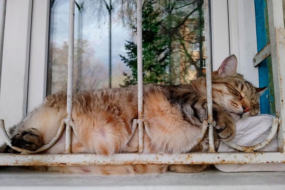 Фото: Ирина Балахнина