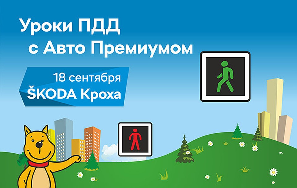 «Авто Премиум» проведет уроки ПДД в школах Петербурга.