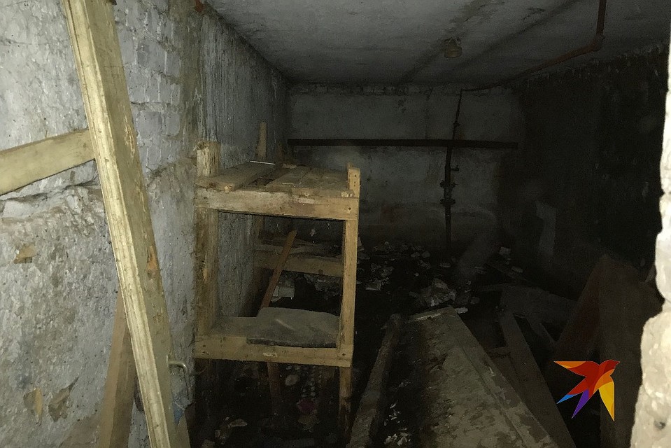 Жильцы все лето мучаются от неприятного запаха, плесени и насекомых, которые идут из подвала. Фото: Константин МОГИЛИН